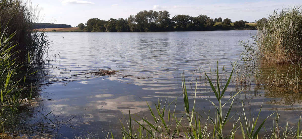 Terrain à METZ