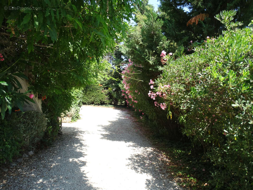 Commerce à CABANNES