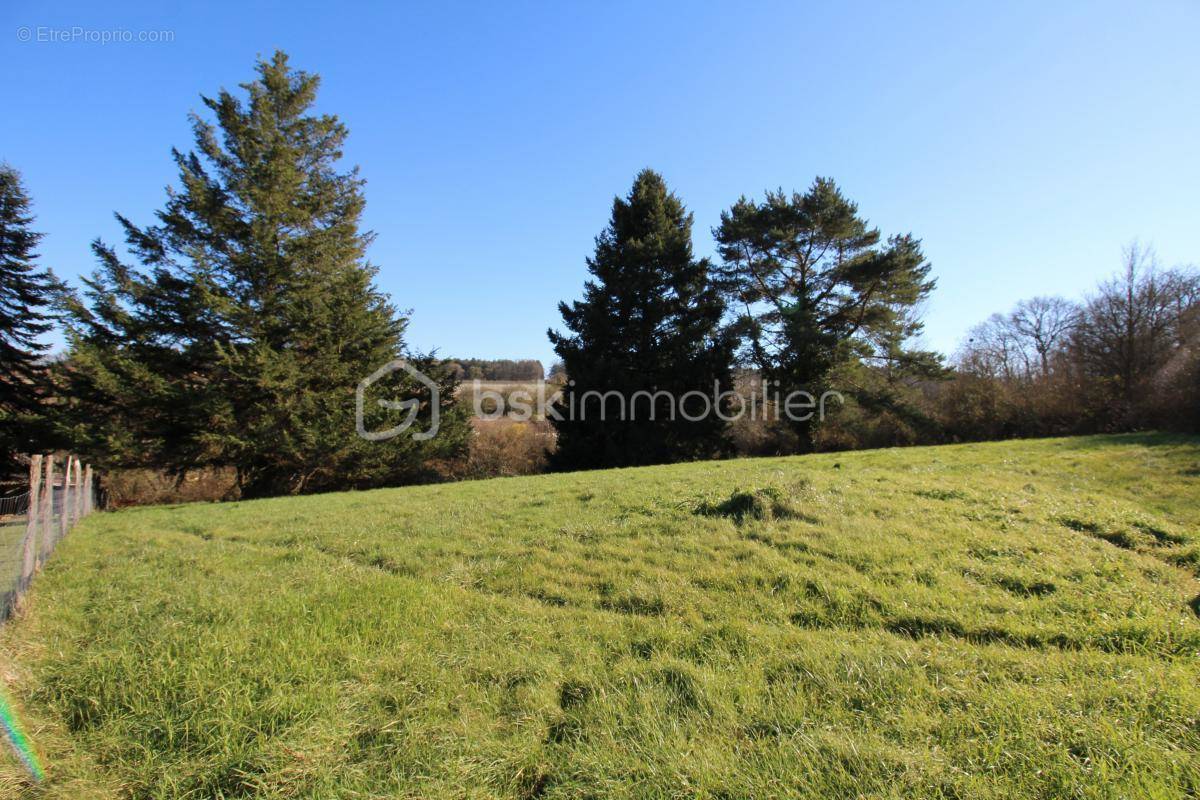 Terrain à LANGEAIS