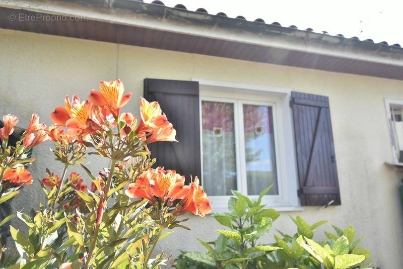 Maison à CHATEAUNEUF-SUR-CHARENTE