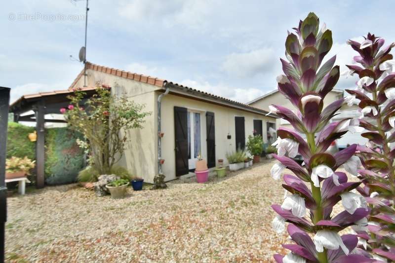 Maison à CHATEAUNEUF-SUR-CHARENTE