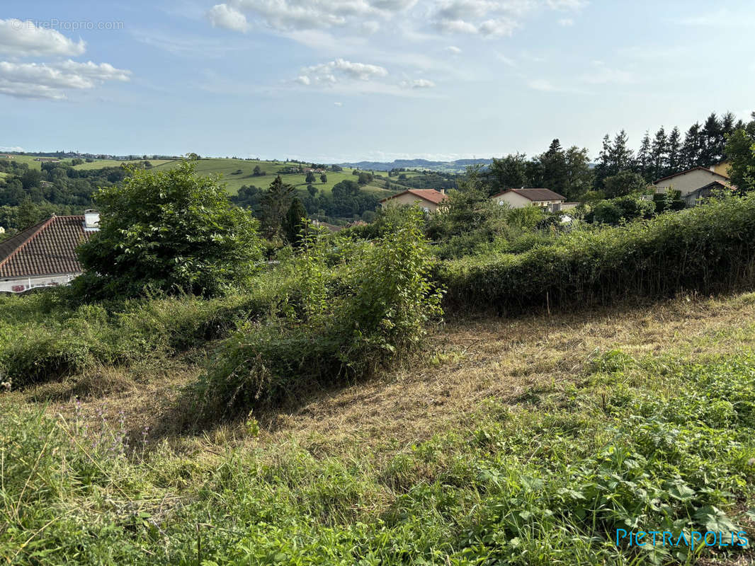 Terrain à AMPLEPUIS