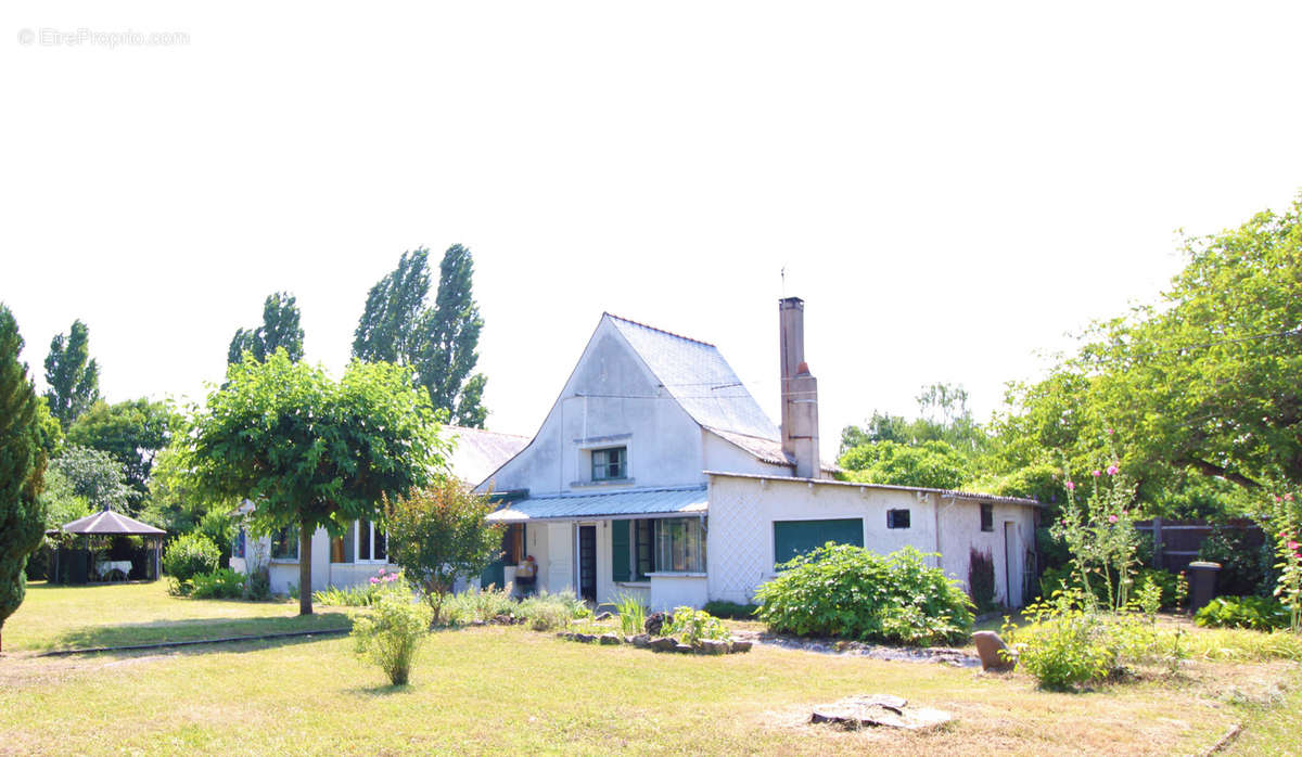 Maison à PELLOUAILLES-LES-VIGNES