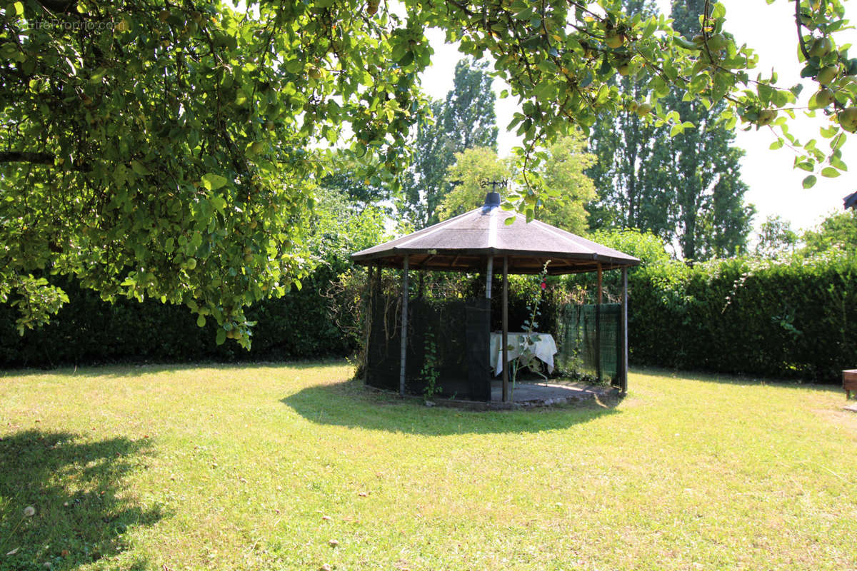 Maison à PELLOUAILLES-LES-VIGNES