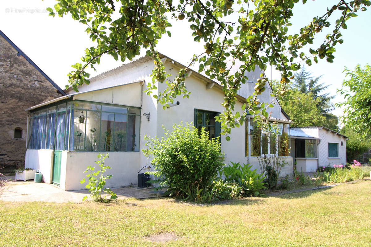 Maison à PELLOUAILLES-LES-VIGNES