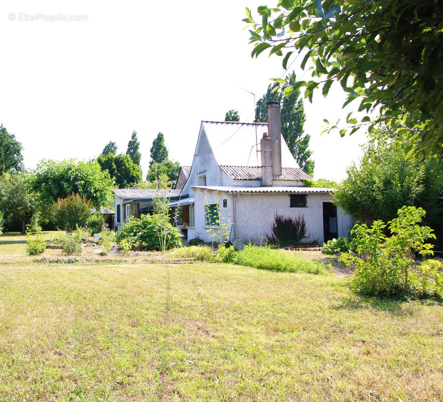 Maison à PELLOUAILLES-LES-VIGNES