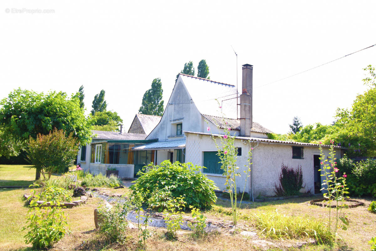 Maison à PELLOUAILLES-LES-VIGNES