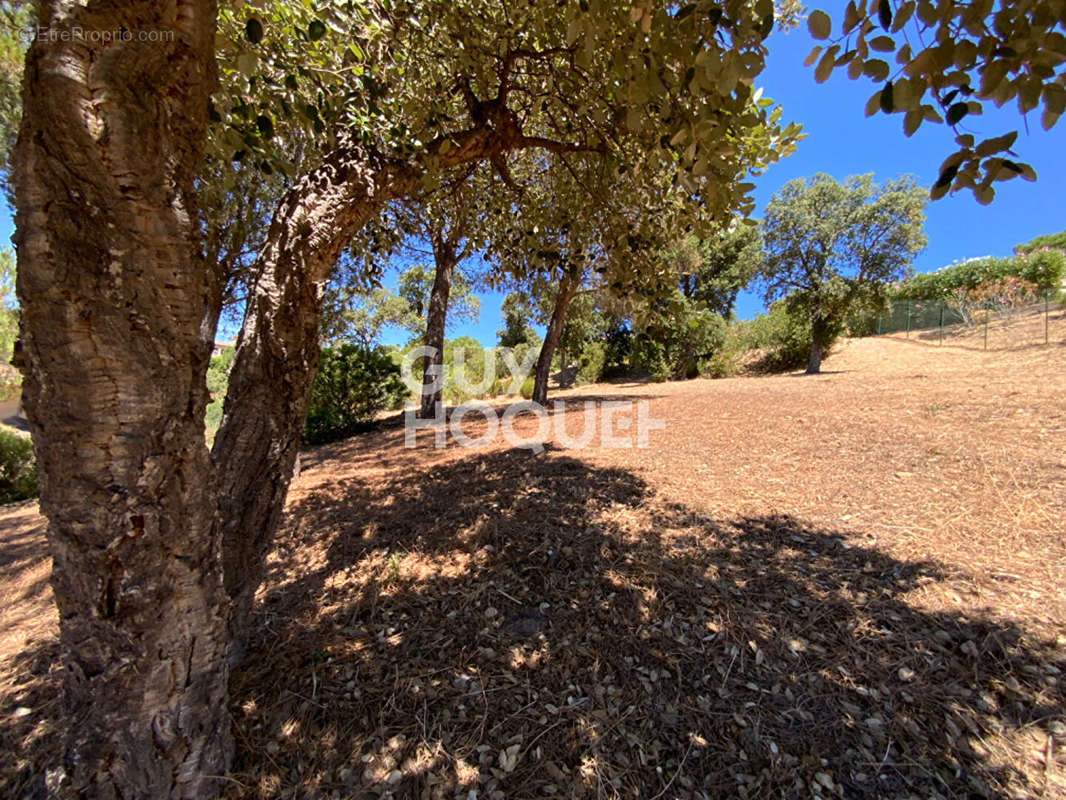 Terrain à SAINTE-MAXIME