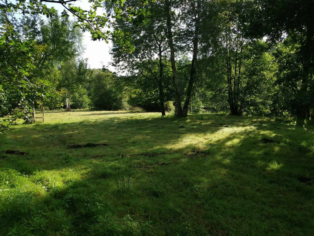 Terrain à PARIGNE-L&#039;EVEQUE