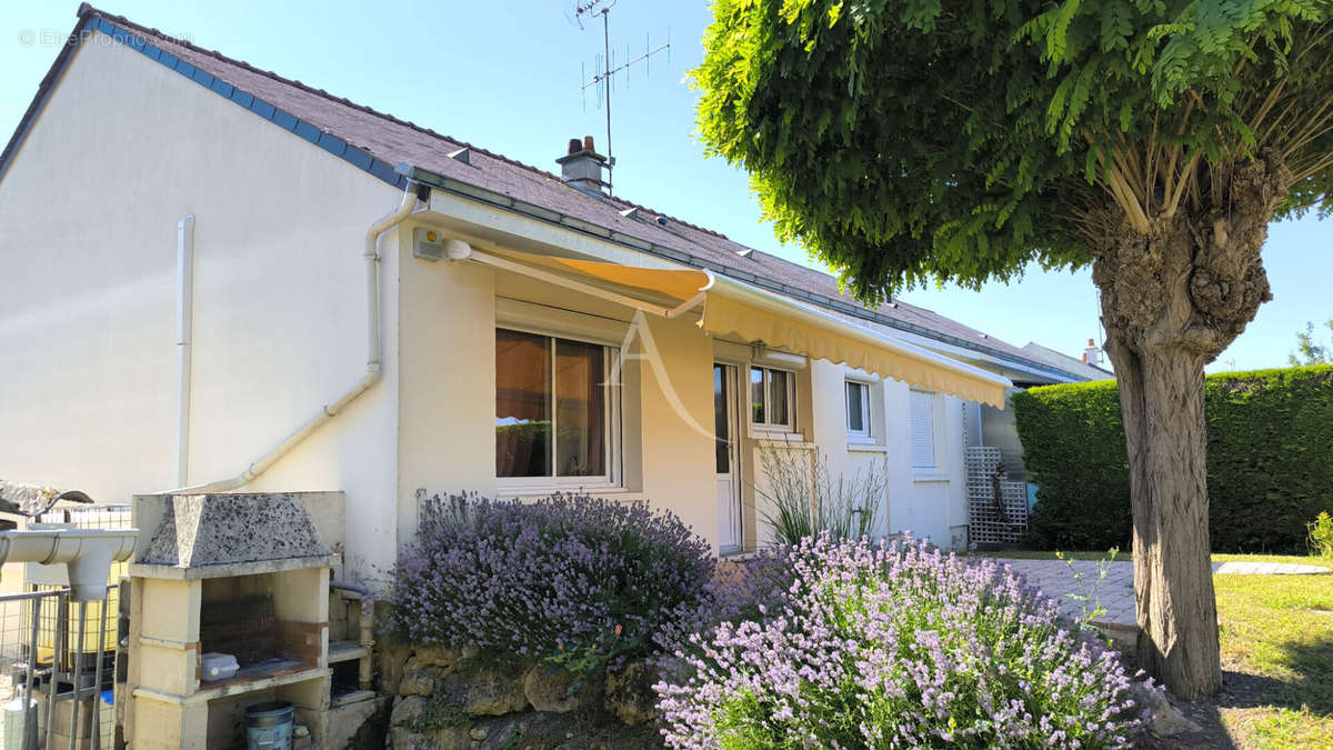 Maison à DOUE-LA-FONTAINE