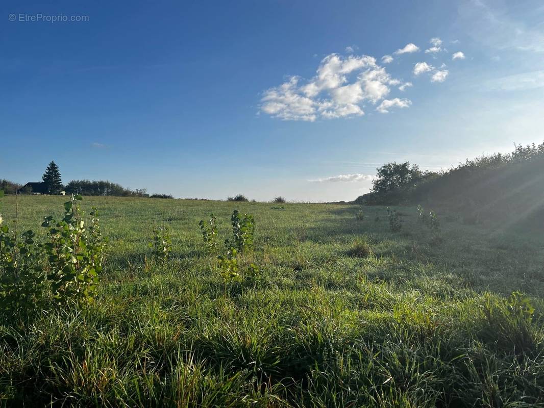 Terrain à MARCILLY-LES-BUXY