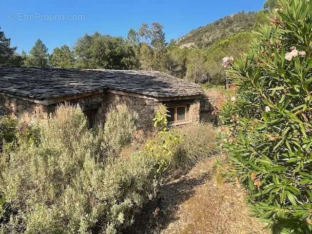 Maison à SARI-SOLENZARA