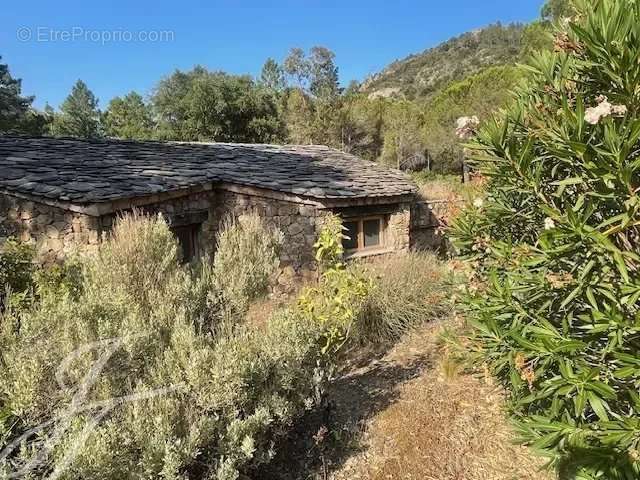 Maison à SARI-SOLENZARA