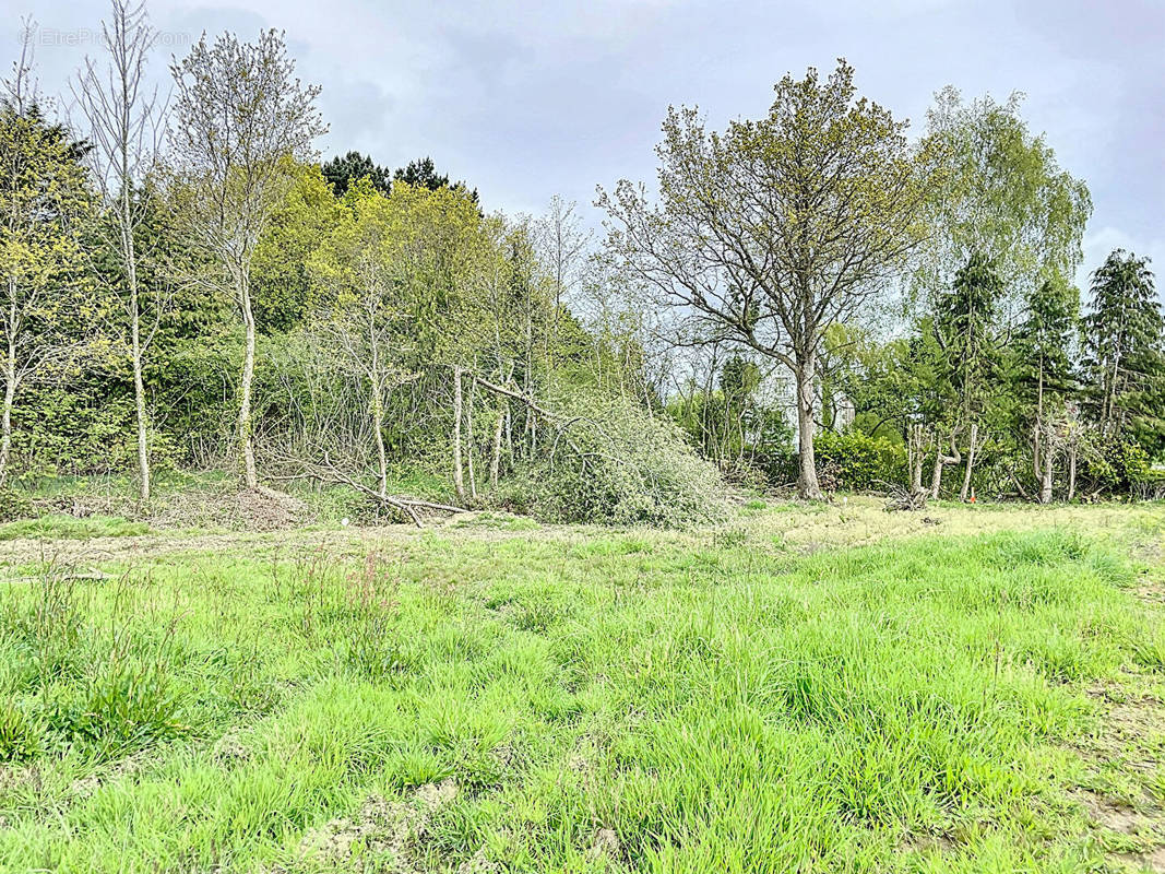 Terrain à SAINT-JULIEN