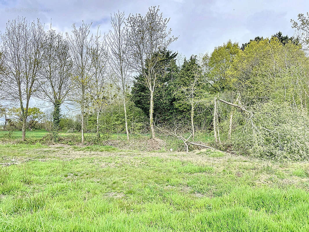 Terrain à SAINT-JULIEN