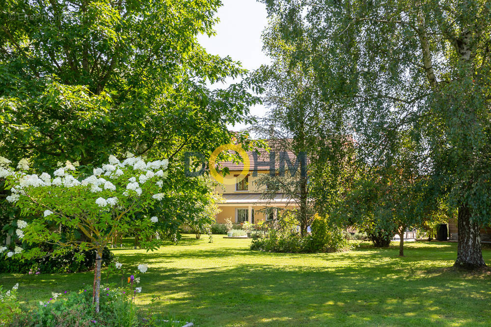 Maison à LA BATIE-DIVISIN