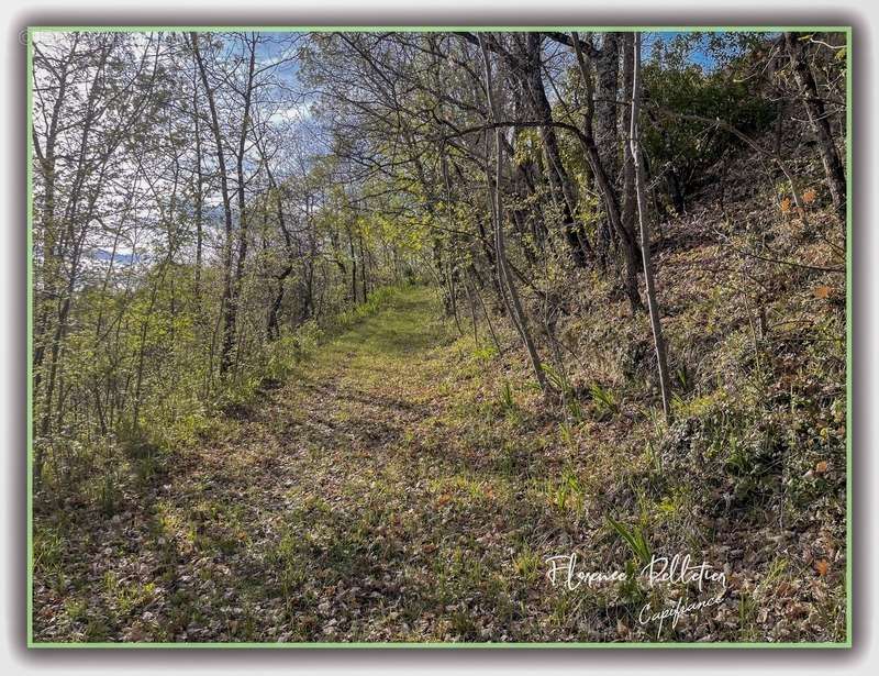 Terrain à MONTGEY