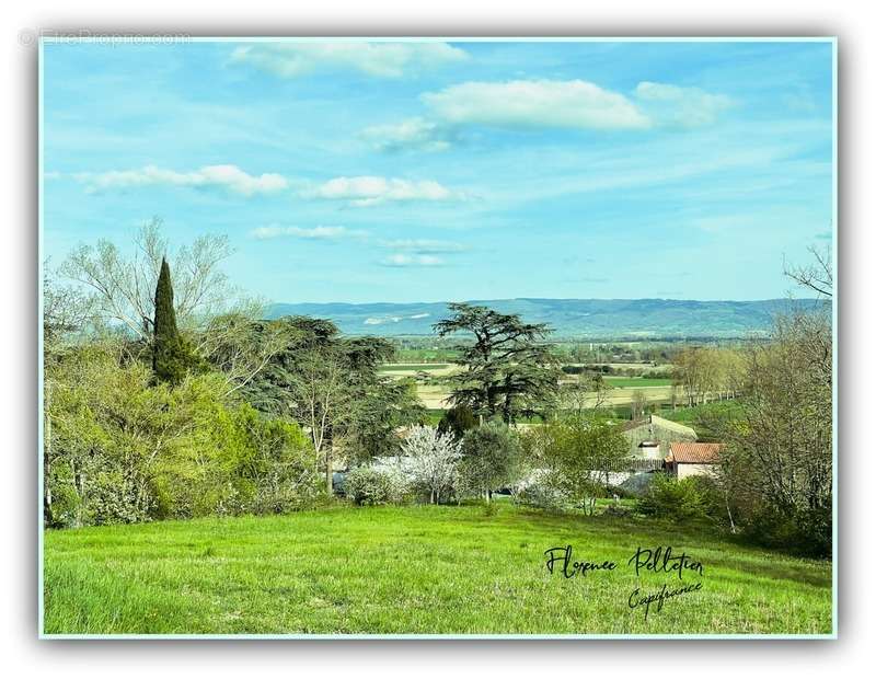 Terrain à MONTGEY