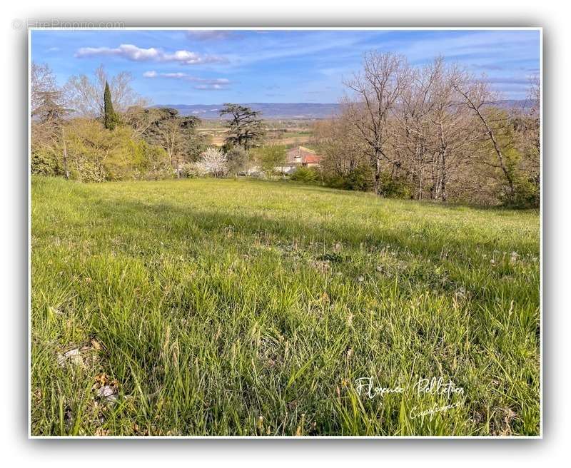 Terrain à MONTGEY