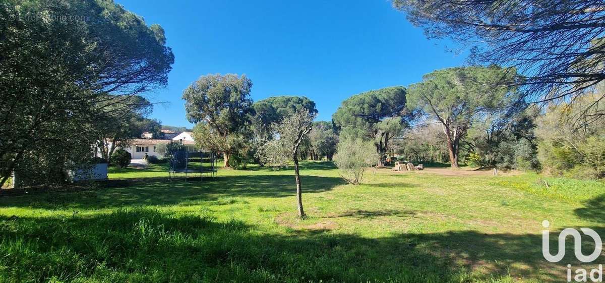 Photo 4 - Maison à ROQUEBRUNE-SUR-ARGENS