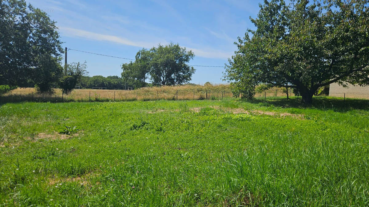 Terrain à SAINT-CYR-SUR-LE-RHONE