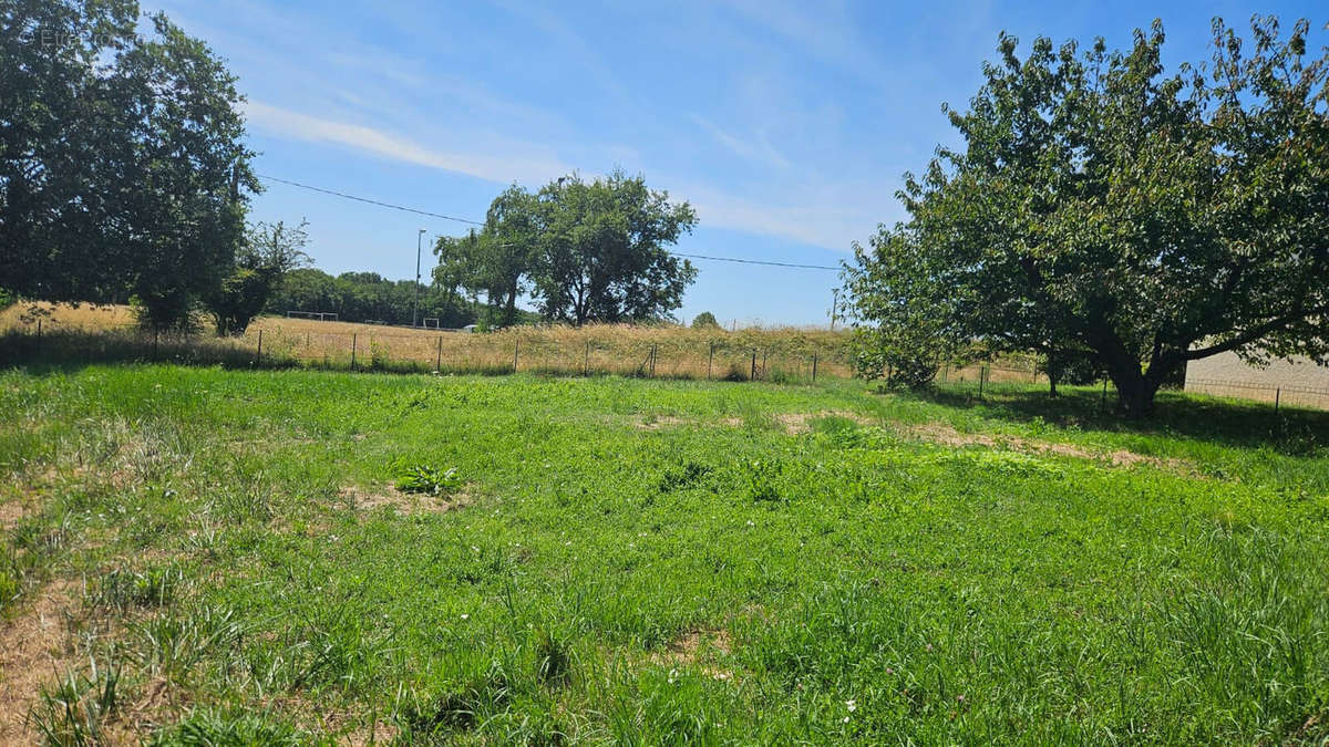 Terrain à SAINT-CYR-SUR-LE-RHONE