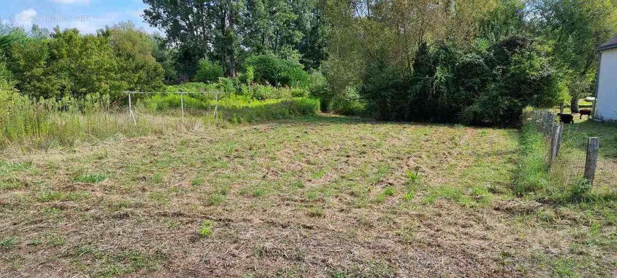 Terrain à LANGEAIS