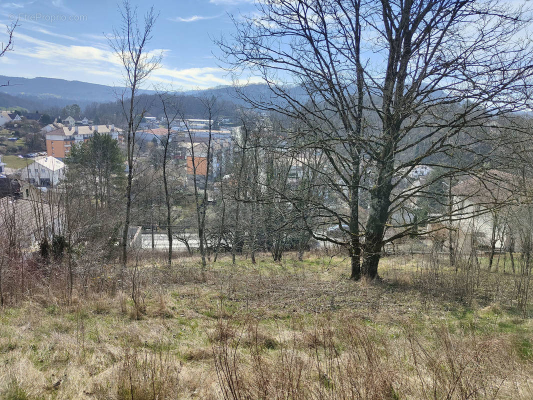 Terrain à BAUME-LES-DAMES