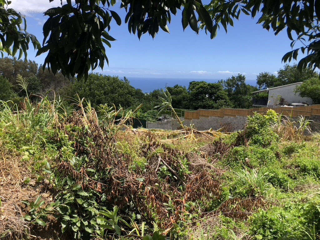 Terrain à SAINT-DENIS