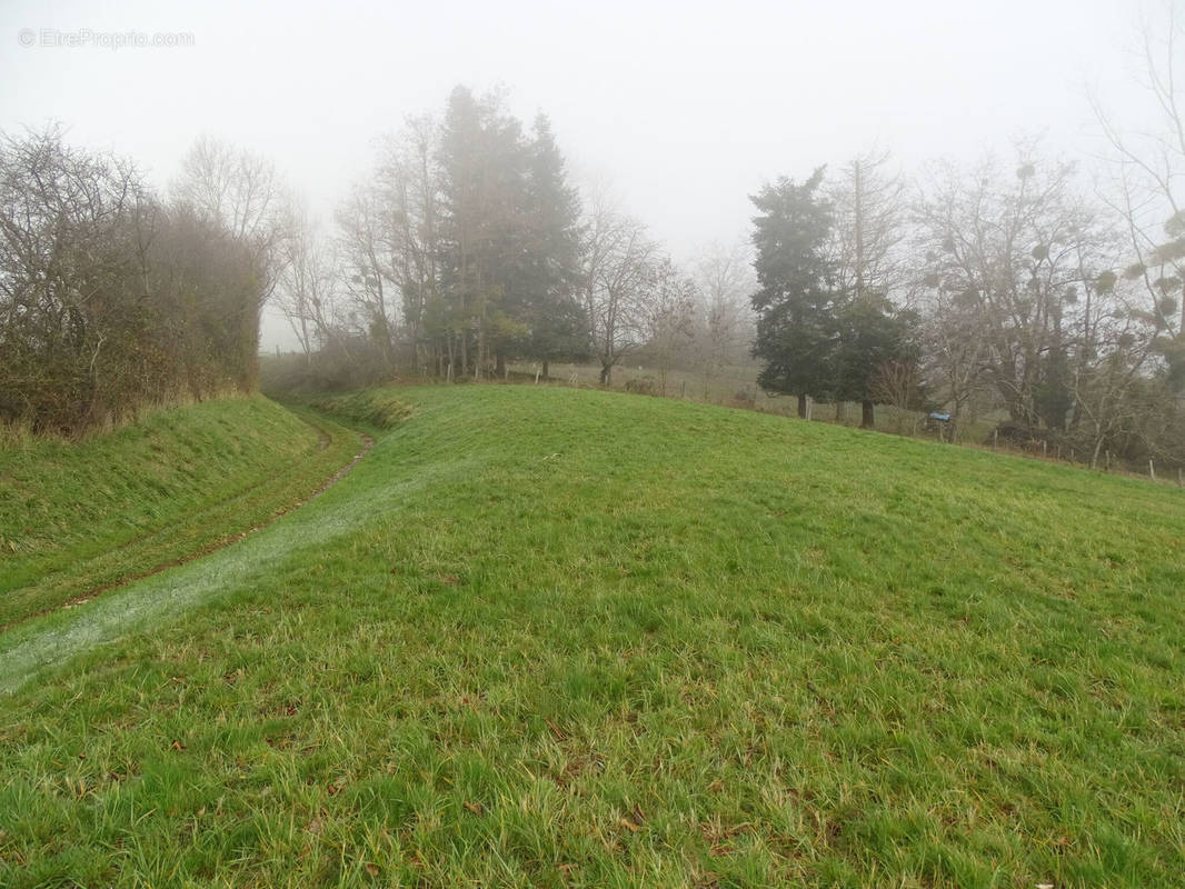 Terrain à COURBOUZON