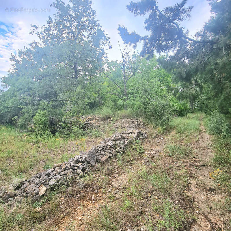 Terrain à BRIGNOLES