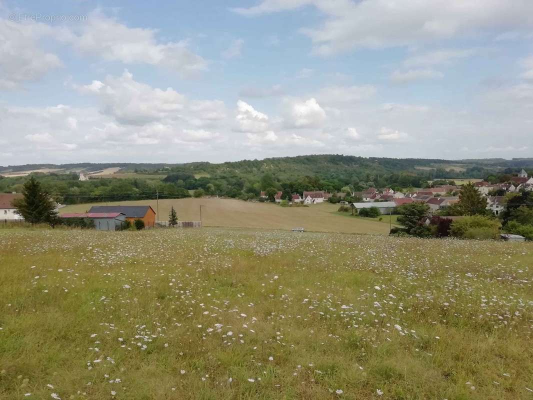 Terrain à TRUCY-SUR-YONNE