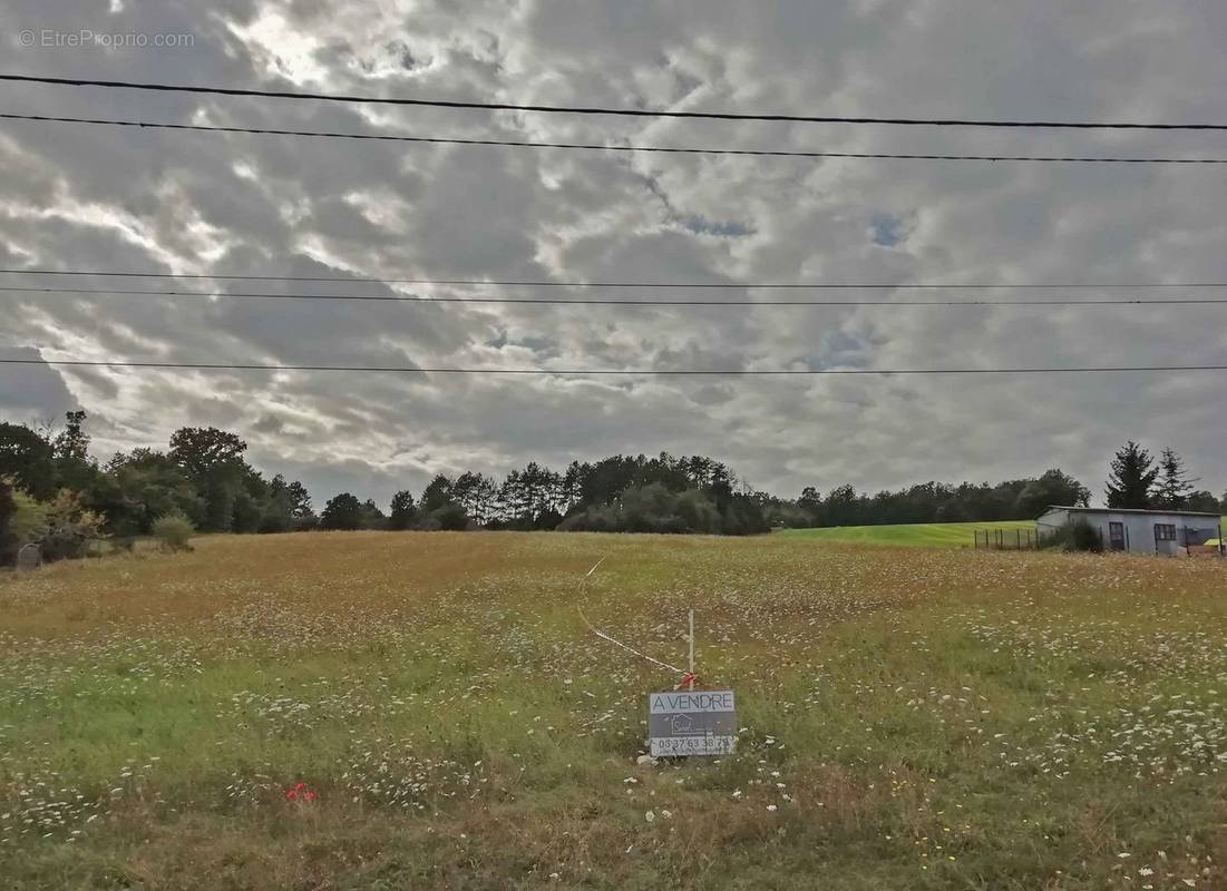 Terrain à TRUCY-SUR-YONNE