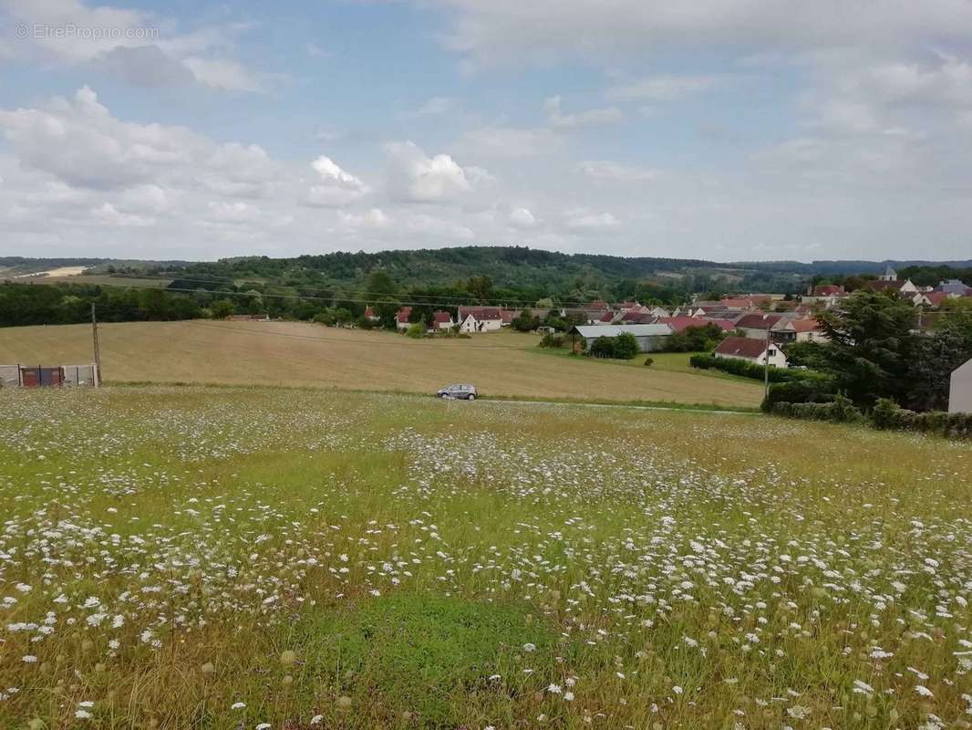 Terrain à TRUCY-SUR-YONNE