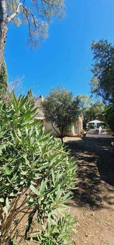 Maison à FREJUS