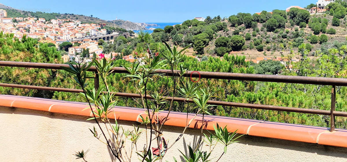 Maison à BANYULS-SUR-MER