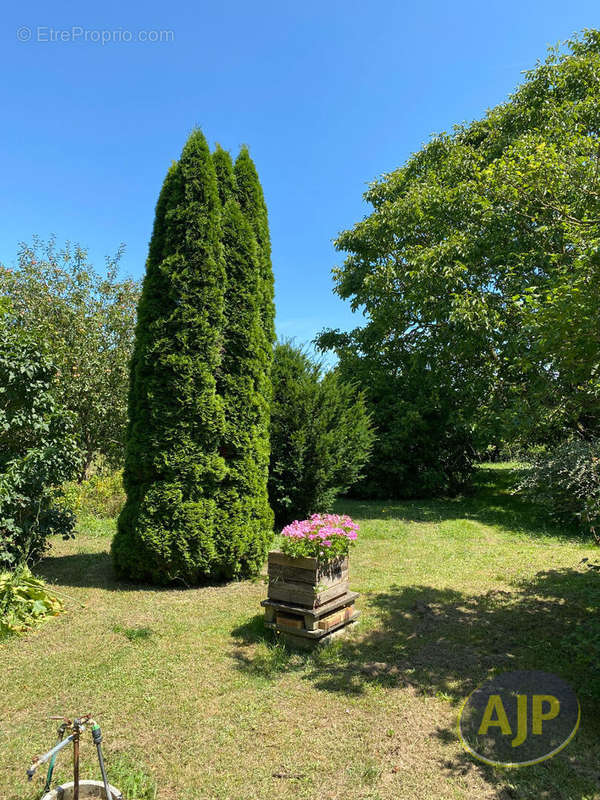 Maison à BOIS