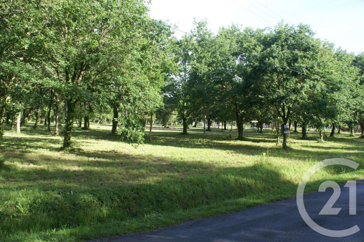 Terrain à SAINT-VIVIEN-DE-MEDOC