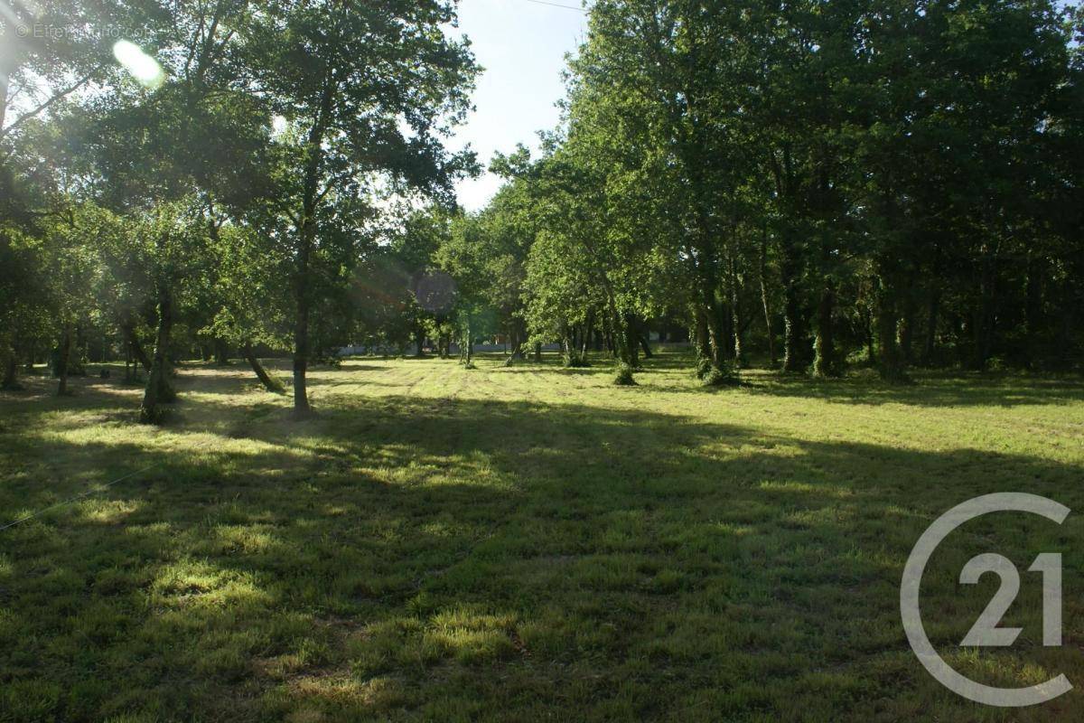 Terrain à SAINT-VIVIEN-DE-MEDOC