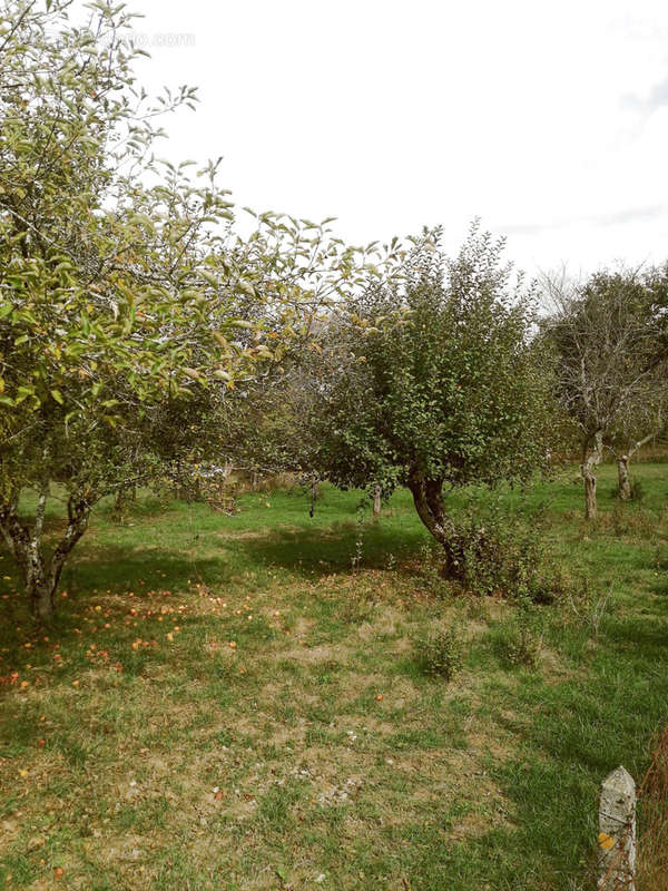 Terrain à AYNAC