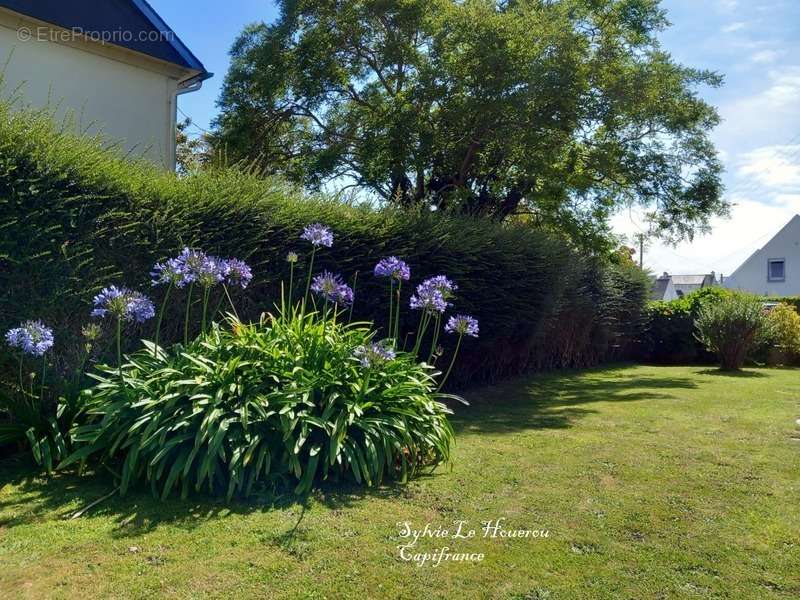 Maison à TREBEURDEN