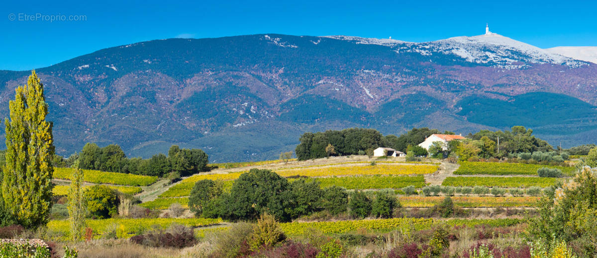 Commerce à BEAUMONT-DU-VENTOUX