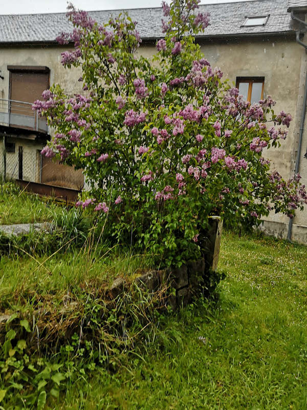 Maison à MESSEIX