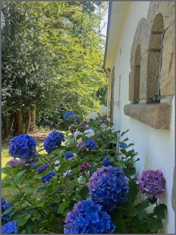 Maison à DOUARNENEZ