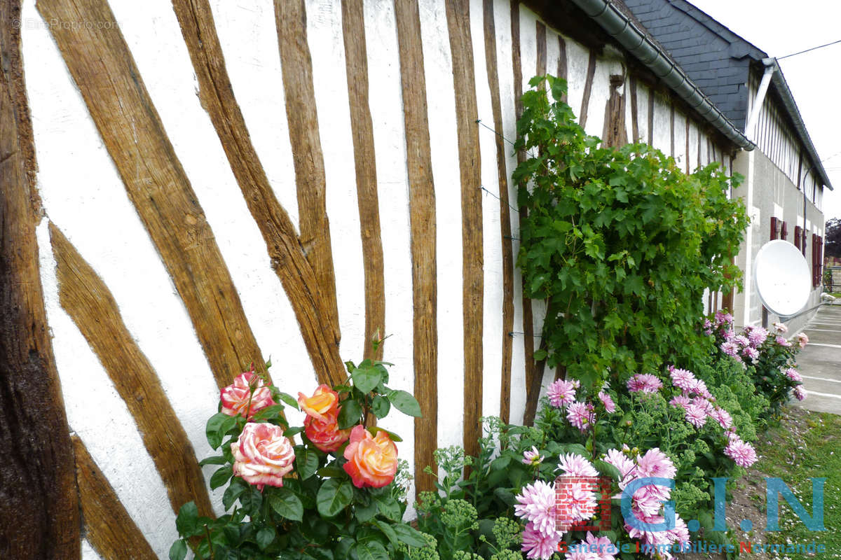 Maison à LA MAILLERAYE-SUR-SEINE