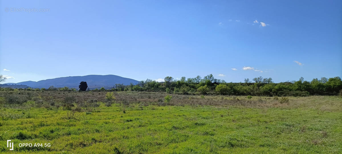 Terrain à FERRALS-LES-CORBIERES