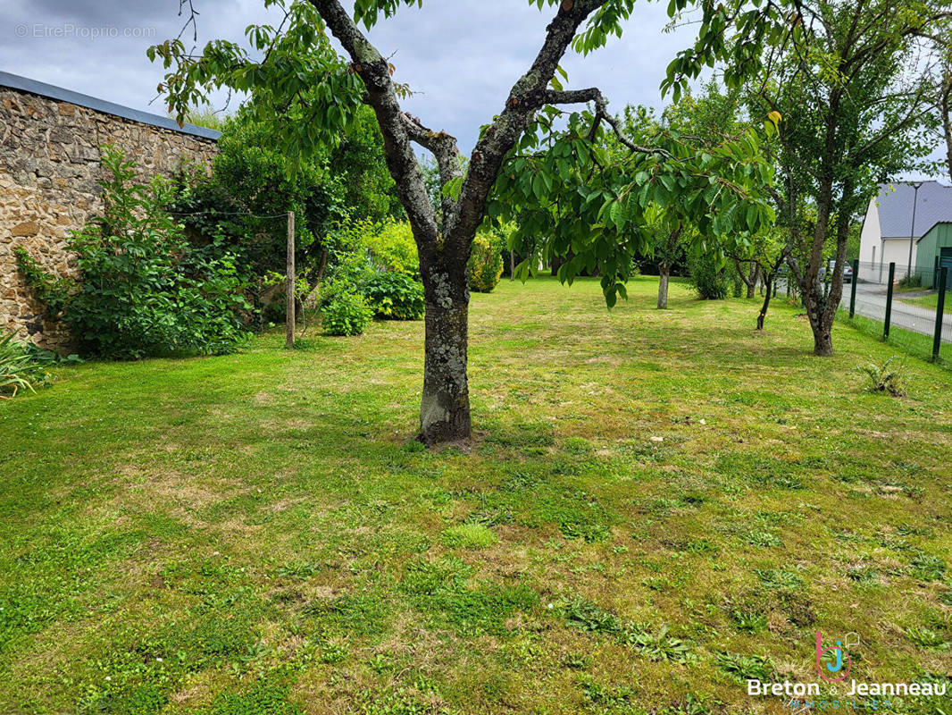 Terrain à MARTIGNE-SUR-MAYENNE