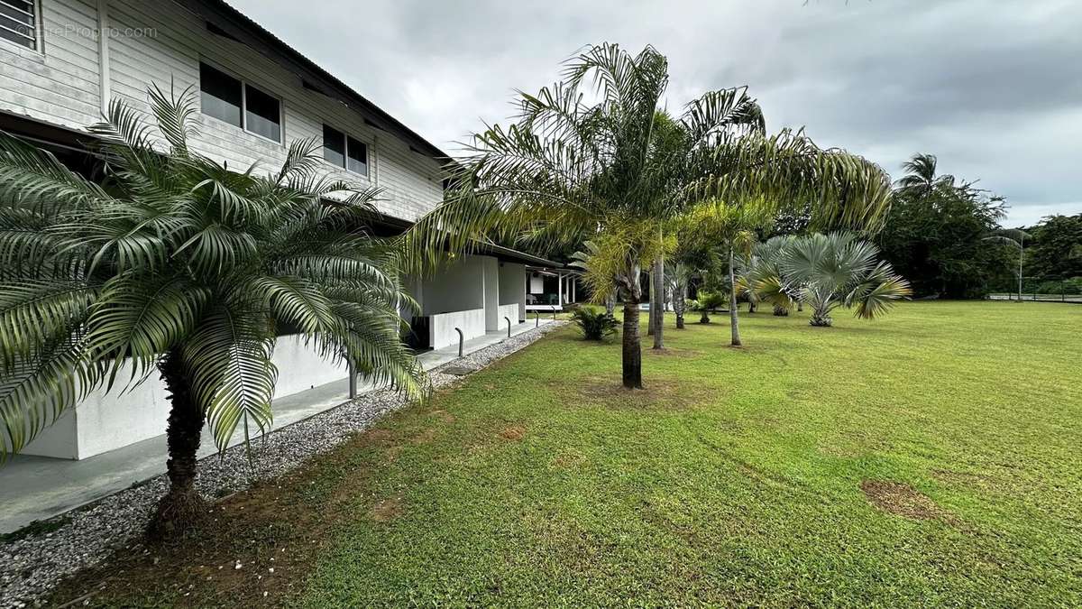 Appartement à KOUROU