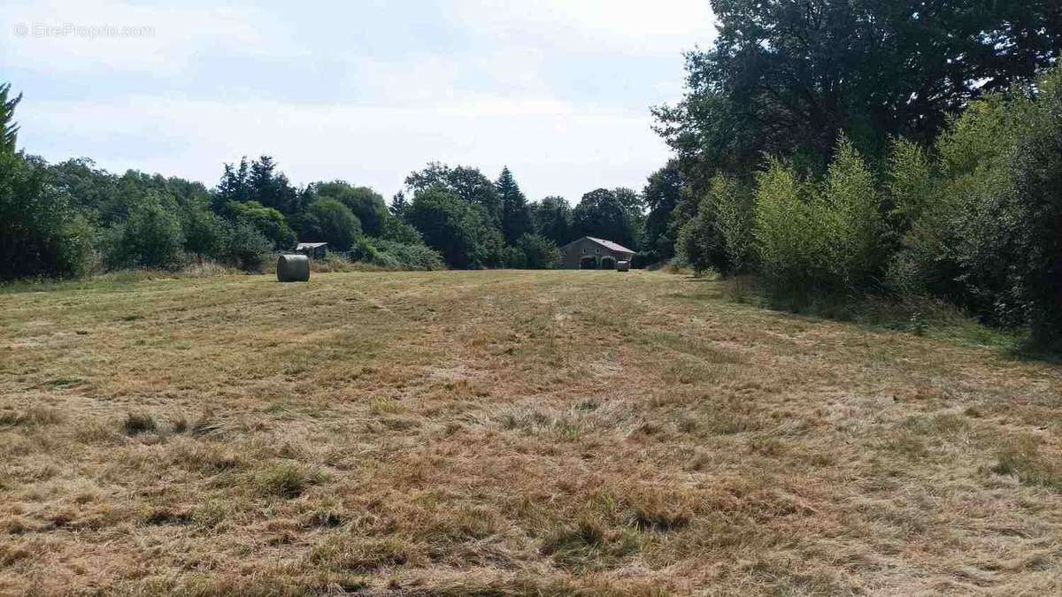 Terrain à SAINT-AUVENT