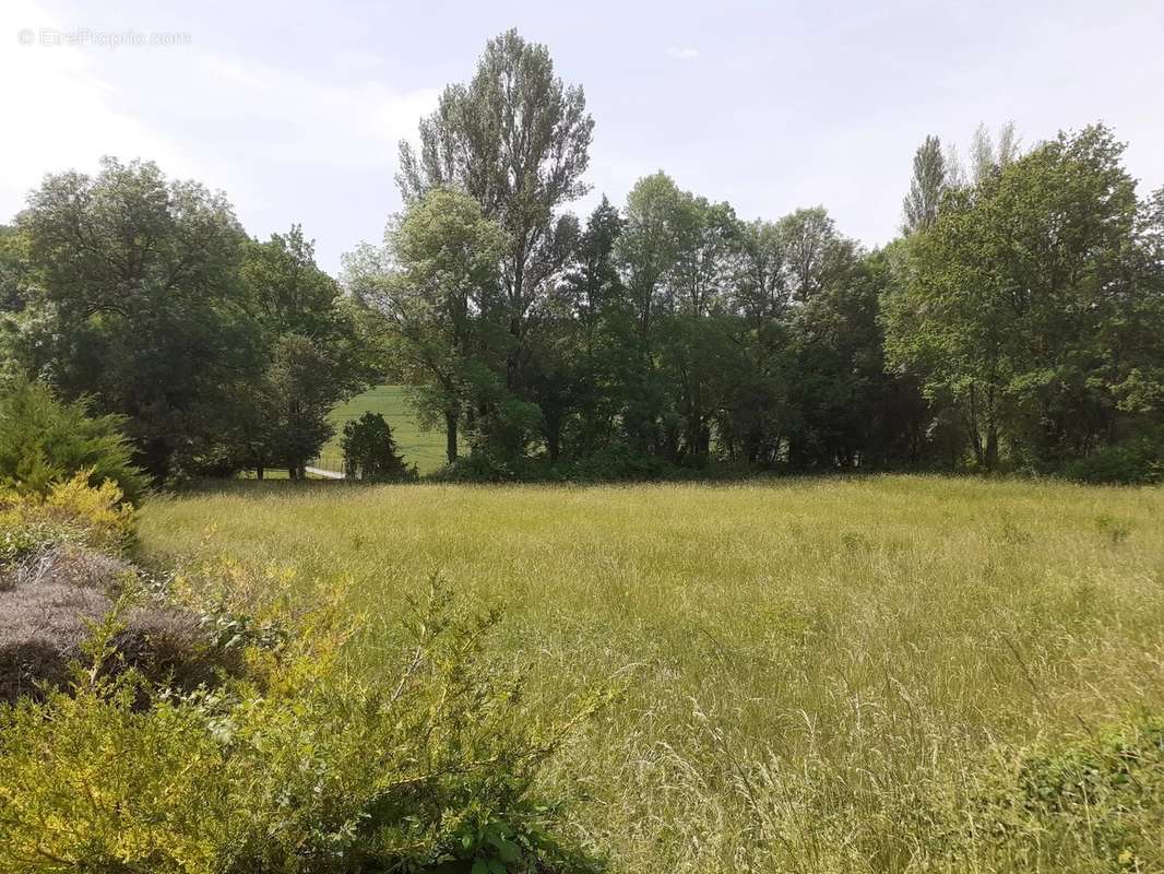 Terrain à MONTAIGU-DE-QUERCY